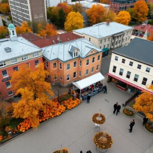 Aerial view of St. Petersburg decorated for Thanksgiving.